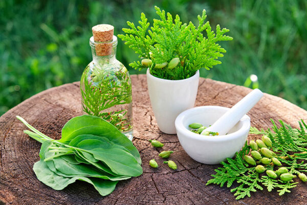 Có nên dùng dầu gội phủ bạc đen tóc hay không? Lợi ích và tác hại?